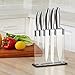 Barbestar 6 Piece Premium Class Stainless Steel Sharp Kitchen Knife Set with Block (5 Knives Plus and Acrylc Stand)