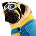 Rubies Mens - pet Costumes, Blue, Yellow, Medium US
