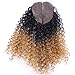 FRELYN Loose Wave Synthetic Hair Weave Bundles with Closure Ombre Color T1B/27 Black to Dirty Blonde 16 18 20 Inches Bundles with Lace Closure