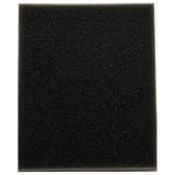 Bissell Filter, PRE-Motor Style 8&14 CLEANVIEW