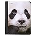 Mead Composition Books / Notebooks, Wide Ruled, 9-3/4