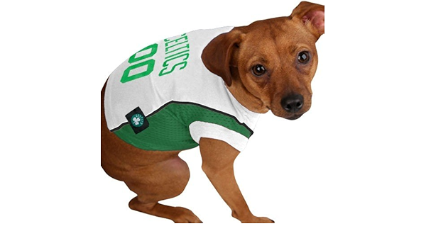 celtics dog jersey