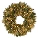 National Tree Company Pre-Lit Artificial Christmas Wreath, Green, Carolina Pine, White Lights, Decorated with Pine Cones, Christmas Collection, 24 Inches