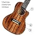 Deviser Concert Ukulele 23inch Cutaway Thin Body Travel Ukelele kit Solid KOA Top KOA Back & Side Carbon nylon Strings With Gig Bag & Tuner & Strap & Polishing Cloth …