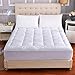 WhatsBedding Cotton Waterproof Mattress Pad Queen Size Top Down Alternative Filling Pillowtop Mattress Topper Cover-Fitted Quilted (Mattress Pad Queen)