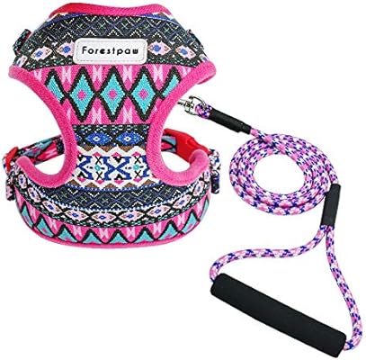 stylish dog harness