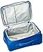 Delsey Luggage Chatillon 21 Inch Carry-On Expandable 2 Wheel Trolley, Blue