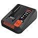 BLACK+DECKER 20V MAX Lithium Battery Charger, 2 Amp (BDCAC202B) primary