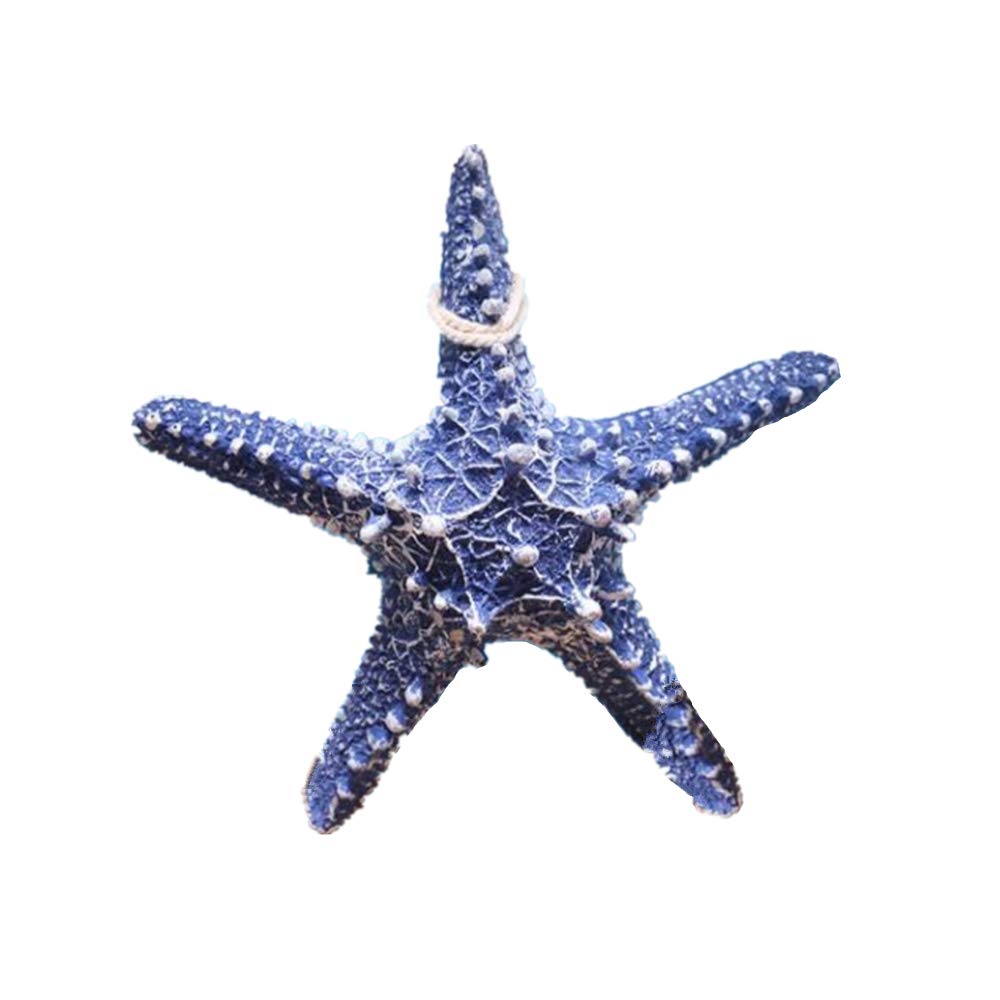 RAYLINE-DO RayLineDo Creative Mediterranean Style Design Beach Starfish Resin Five-Pointed Star in Navy Home Restaurant Kindergarten Wall Hanging Decoration