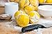 Preserved Farmhouse Lemons by Bella Cucina