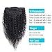 10 Pieces/Set Afro Kinky Curly Clip Ins Hair Extensions 18 inch 8A Grade 4C Kinkys Curly Clip ins Human Hair Extension Natural Black Color for African American Women 120 Gram/Pack with 20 Clips