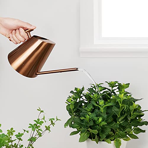 Watering Can Indoor Plants, Small Metal Water Pot Long Spout, Copper
