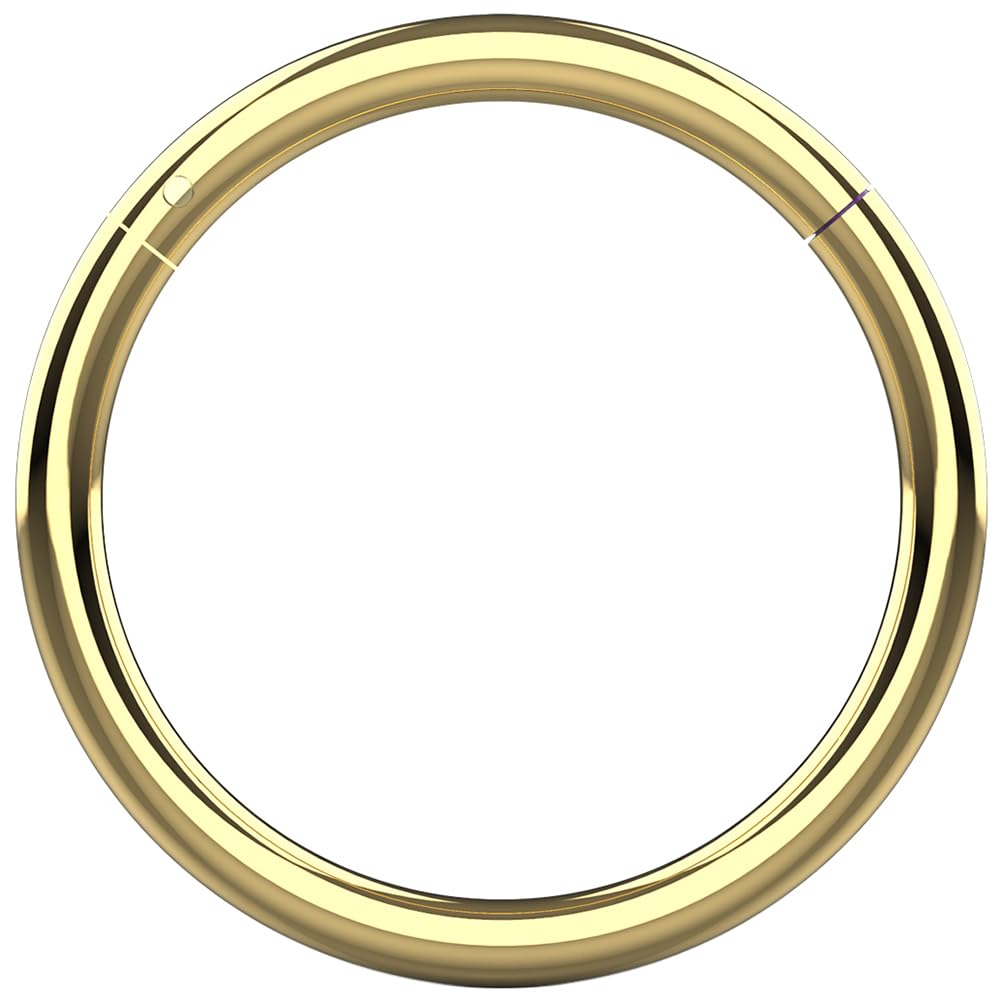 AZARIO LONDON 20 Gauge (0.8mm) - 9mm Diameter Gold Anodized 316L Surgical Steel Hinged Segment Ring- Septum Clicker- Ear Cartilage Hoop- Huggie Earring- Tiny Nose Hoop - Lip Ring Body Jewellery