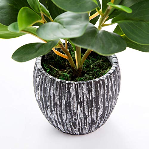 AlphaAcc Mini Potted Artificial Plants Real Looking Plastic Fiddle Leaf Fig Plant with Rustic Black Cement Planter for House Office Desk Decor