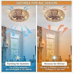 TSMKLEDAN 20" Woven Caged Ceiling Fans with Lights
