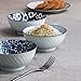 DOWAN Ceramic Cereal, Soup, or Pasta Bowls, Set of 4 Assorted Designs, Blue and White