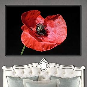 signwin Framed Canvas Wall Art Red Flower Portrait...