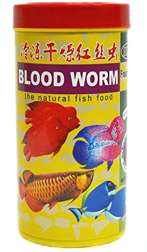 bloodworm fish food online