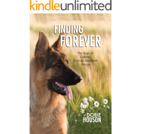 east coast german shepherd rescue