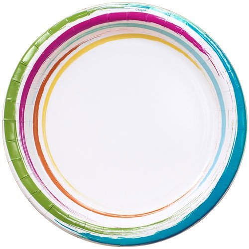 Nicole Home Collection 24 Count Brushstrokes Dinnerware Paper Plate, 10-Inch