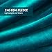 Bedsure Fleece Blanket Twin Size Teal - 300GSM Lightweight Plush Fuzzy Cozy Soft Warm Blanket for Bed, Sofa, Couch, Travel, Camping, 60x80 inches