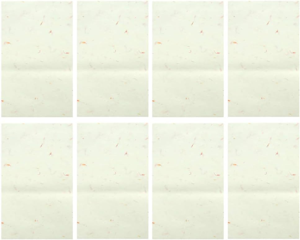 STOBOK 40pcs Chinese Calligraphy Paper Plant Flower Brush Rice Paper Craft Hand Made Art Tissue Xuan Letter Writing - Image 5