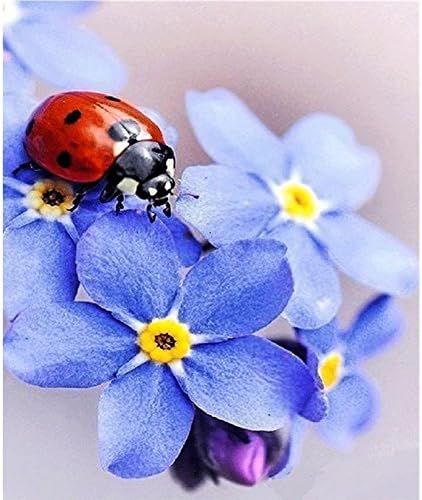 LICSE 5D DIY Diamond Painting Full Square Drill Embroidery Ladybug Flowers for Wall Decoration 10X12 inches