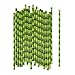 ALINK Green Bamboo Print Paper Straws, Biodegradable Party Drinking Straws, Pack of 100