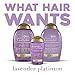 OGX Hydrate & Color Reviving + Luminescent Platinum Penetrating Oil, Lavender 3.3 Fl Oz