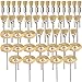 SHINA 45 PC Brass Wire Wheel Brushes for Accessories Rotary Tools Polish Clean