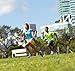 New Balance Boys' Athletic Short