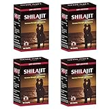 Ayurved Research Foundation Shilajit Capsule Herbal Supplement To Increase Energy And Stamina 4 Packs of 30 Capsules