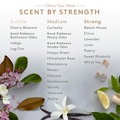 Aera Fragrance Diffuser (Touch) The Home Kitchen Store