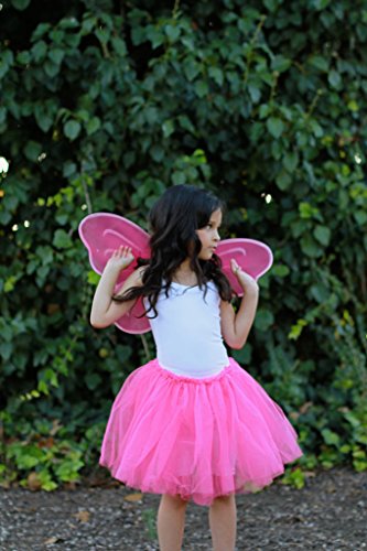 Party Favor Butterfly Wing (Set of 6) Color: Hot Pink