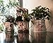 Janazala Small Flower Pots Indoor Decorative, Metal Colorful Indoor Mini Flower Pots, Set of 3