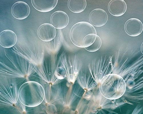 Photographs - Bathroom Decor, Dandelion Photography Print, Modern Bathroom Wall Art, Rain Water Drops and Bubble Picture, Teal Bathroom Wall Art