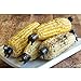 Charcoal Companion Dog Corn Holders (8 Pieces) - Perfect Gift For Dachshund Lovers - CC5009.