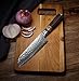 Bigsun Santoku Knife,Professional 7 Inch Forged High Carbon 67 Layers VG 10 Damascus Steel With Acrylic Resin&Pakka Wood Handle Santoku Knives