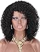 Kalyss Black Curly Synthetic Hair Wig Afro Kinky Curly Wigs for Black Women Curved L Part Natural Looking Hair Wigs for Womens Daily Wear Hairpiece