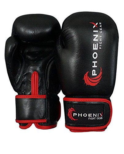 Phoenix Fight Gear Kids Boxing Gloves (Black, 4 oz.)