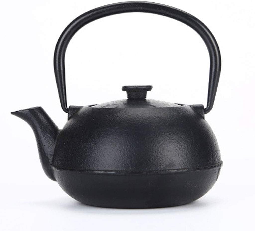 Yongqin Cast Iron Kettle 300ML Small Cast Iron Teapot with Stainless
