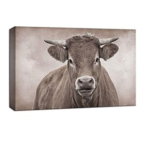 Stare of the Bull - Canvas Art