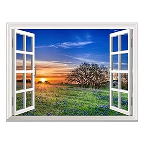 Removable Wall Sticker/Wall Mural - Sunrise on a Springfield | Creative Window View Wall Decor - 24"x32"