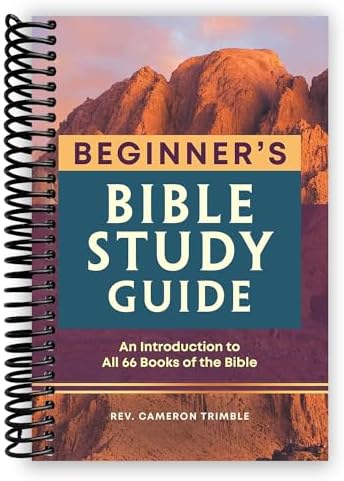 Bible Words and Theological Terms MADE EASY - a practical handbook