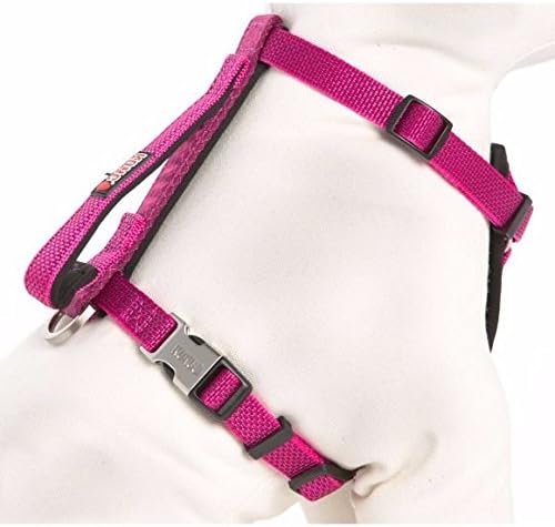 kong puppy harness