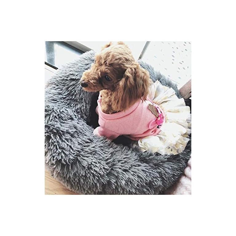 Lbobbo Luxuriöse Orthopädische Haustier Hund Katze Beruhigendes Bett