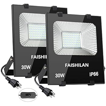 FAISHILAN 2 Pack 30W LED Flood Light, 30W(150W Halogen Equiv),Outdoor IP66 Waterproof Work Lights, 4000Lm,6500K,Outdoor Floodlight for Garage, Garden, Lawn and Yard