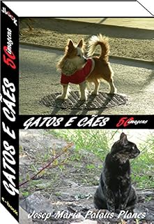 gatos e cães (50 imagens)