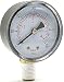 Pressure Gauge Hayward Replacement for Select Sand and D.E. Filter ecx270861 primary