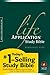 Life Application Study Bible NLT, Personal Size